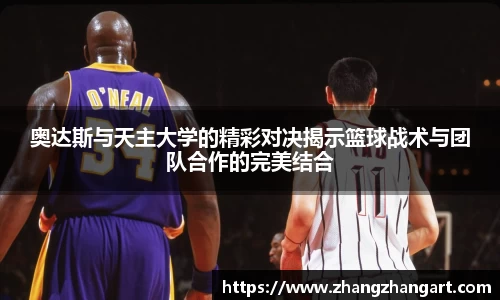 3377体育官网