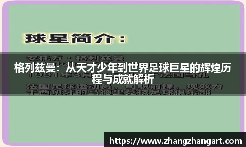 3377体育平台